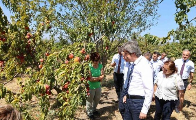 BUÜ, ziraat ve ormancılık alanında dünyada ilk 500’de