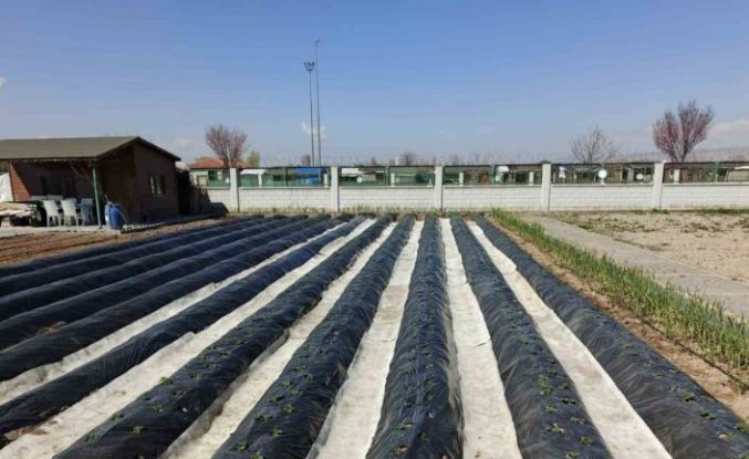 Büyükşehirin Doğal Ürünler Bahçesi ve Pazarı’nda yeni sezon hazırlığı