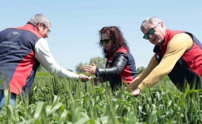 Çanakkale’de ekili ve dikili alanlarda kontroller devam ediyor