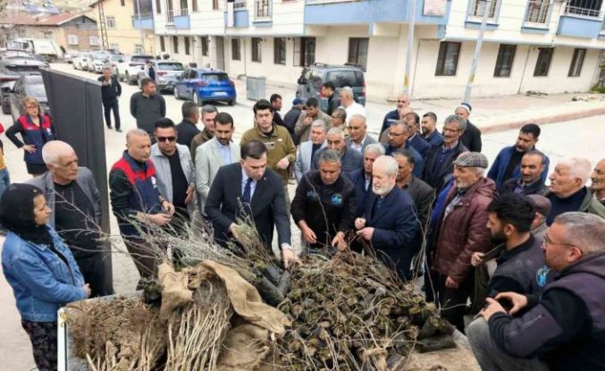 Çemişgezek’te vatandaşlara ücretsiz fidan dağıtıldı