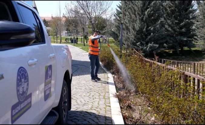 Elazığ’da haşereyle mücadele sürüyor