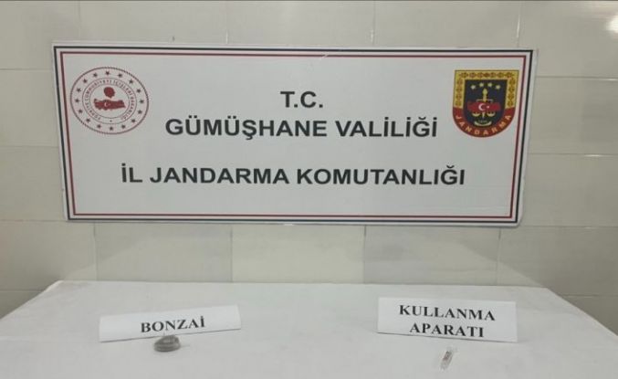 Gümüşhane’de uyuşturucu operasyonunda 1 şüpheli yakalandı