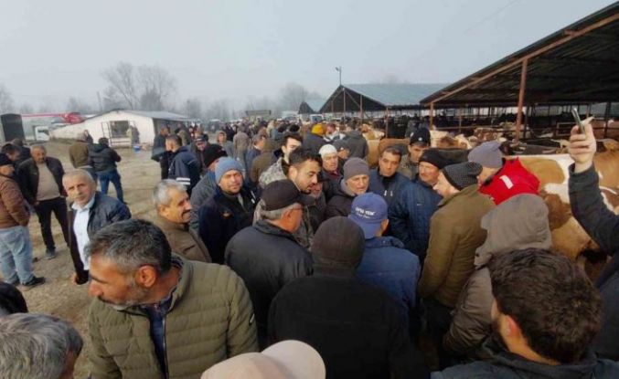 Hayvan pazarında hararetli pazarlık kamerada