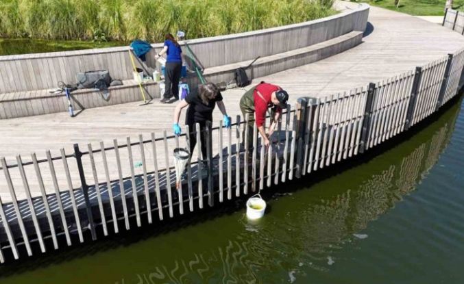 İzmit Millet Bahçesi göletinde bilimsel iyileştirme çalışması başladı