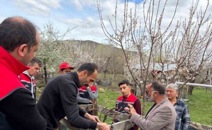 Kağızman’da meyvecilikte eğitim seferberliği sürüyor