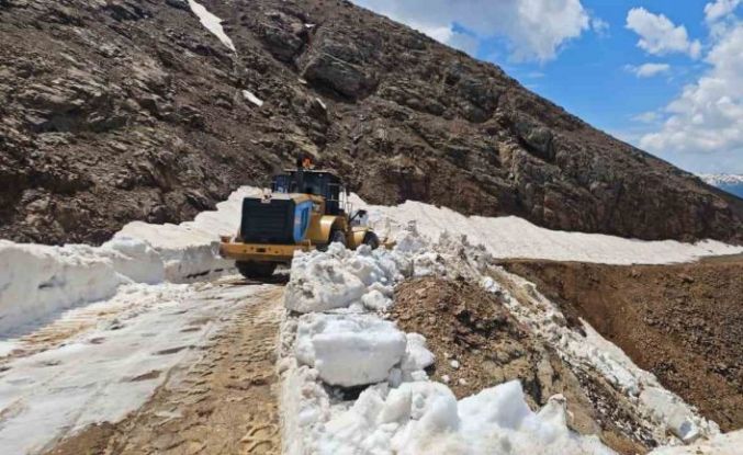 Kulp’ta çığ ve heyelan nedeniyle hasar gören yollar onarılıyor