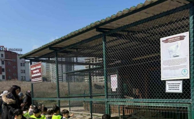 Minikler için doğada eğlence ve eğitim bir arada