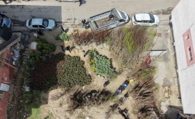 Muş’ta meyve fidanları satışa çıkarıldı