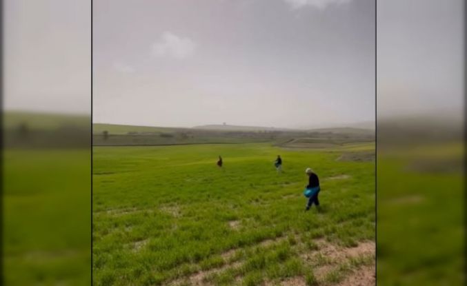 Siirt’te çiftçilerden zorlu mesai: Gübreleme eski usulle yapıldı