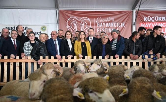 Tekirdağ’da küçükbaş hayvancılık festivali