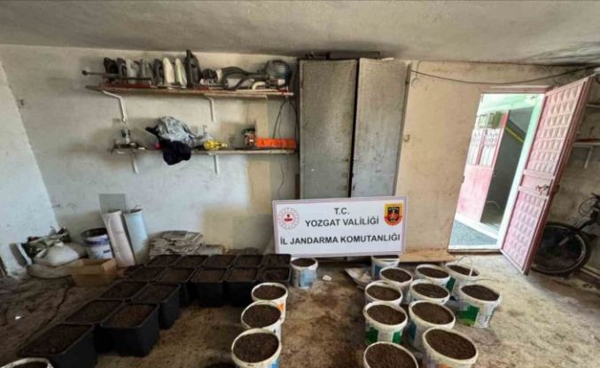 Yozgat’ta uyuşturucu yetiştirme düzeneği ve uyuşturucu madde ele geçirildi