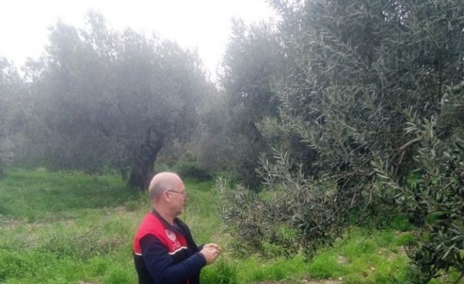 Zararlılara karşı tuzaklar kuruldu