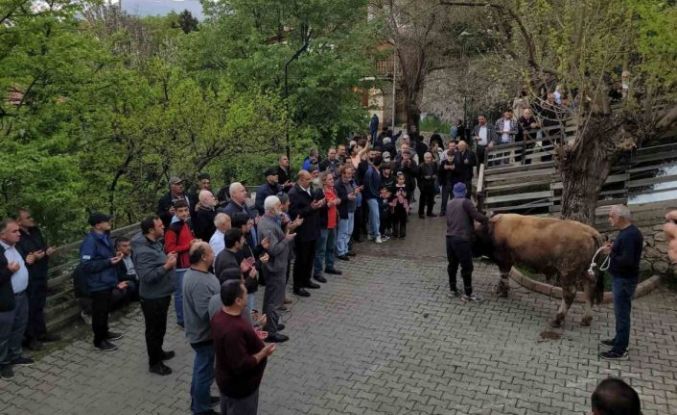 Geçmişten günümüze: Kemaliye’de şükür kurbanı