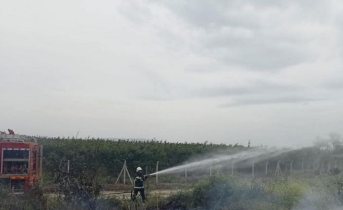 Hassa’da zeytinlik yangını