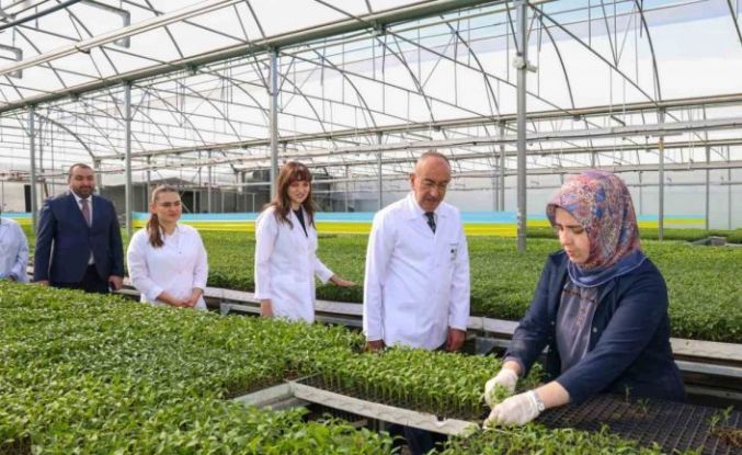 Meram Belediyesinin Konya çiftçisine büyük desteği, Konya Fide’de yeni sezon satışları başladı