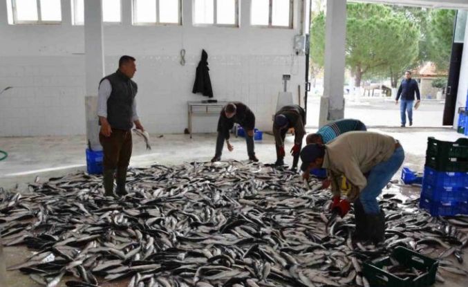 Muğla ihracatta Ege Bölgesi’nde 4’üncü il