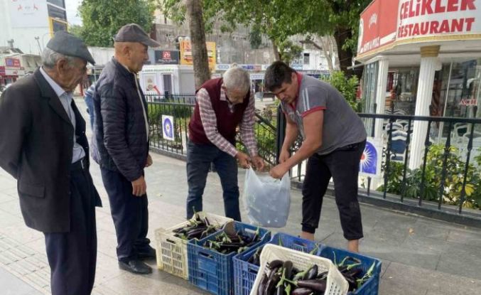 Ürettiği patlıcanlar maliyetini kurtarmayınca serasının kapılarını vatandaşlara açtı