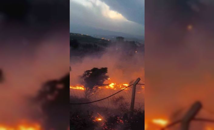 Hatay’da otluk alanda çıkan yangın kısa sürede söndürüldü