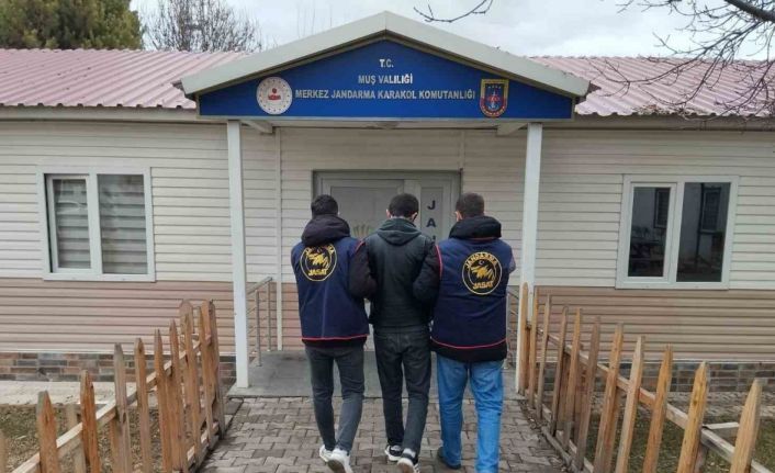 Muş’ta dolandırıcılık suçundan aranan hükümlü yakalandı