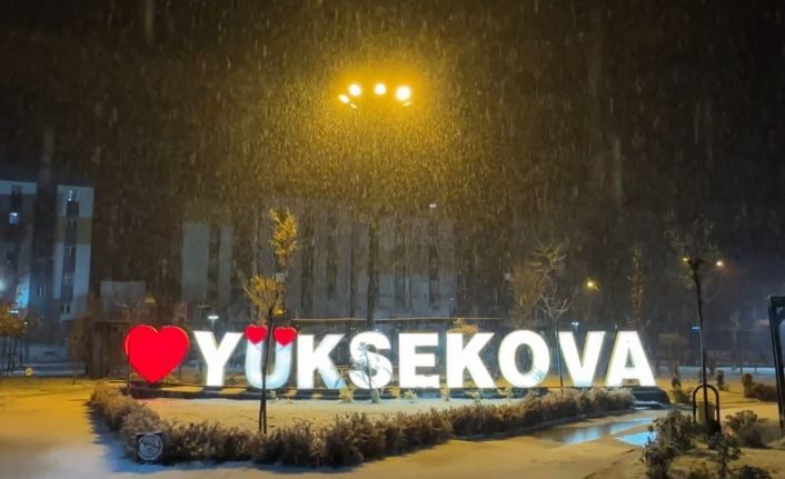 Yüksekova’da lapa lapa kar yağışı