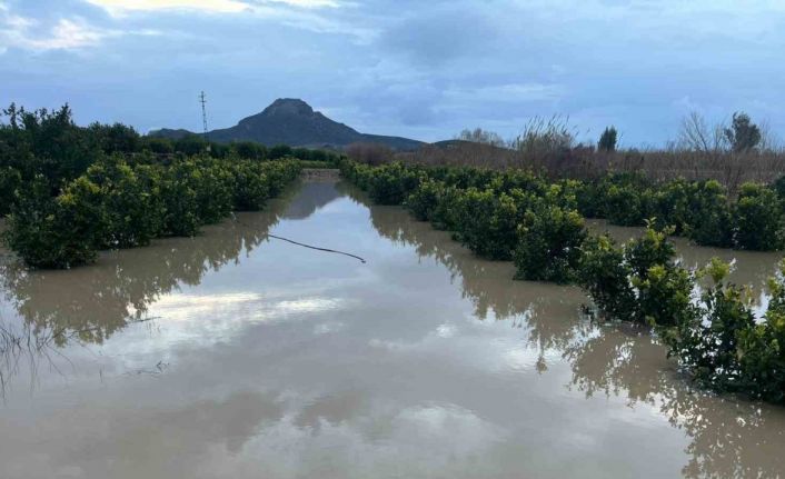 Adana’da şiddetli yağış, tarlaları sular altında bıraktı