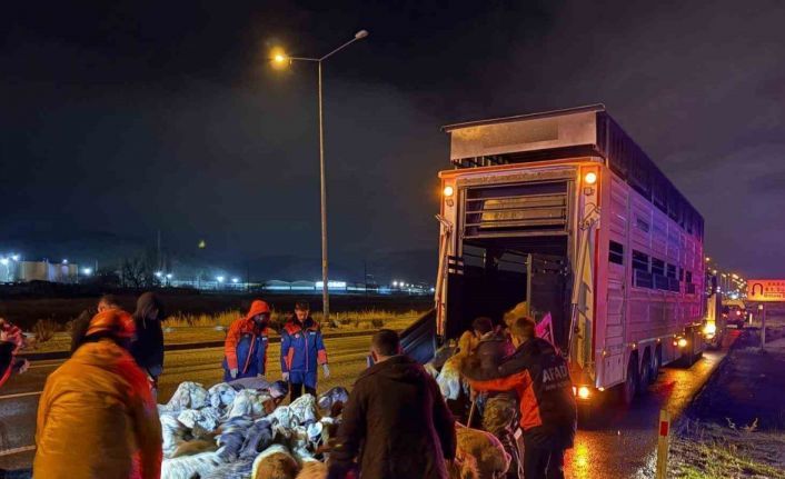 Kayseri’de taşkın riski: 200 hayvan tahliye edildi