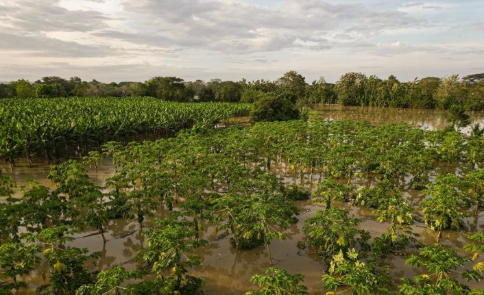 Kolombiya’da ülke genelindeki sellerde 6 kişi hayatını kaybetti