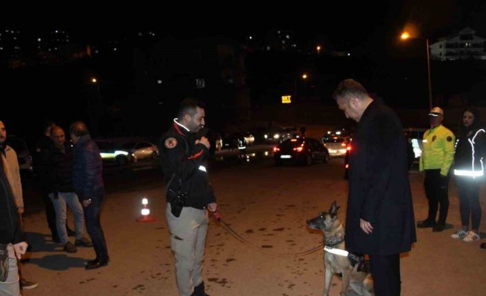 Şırnak’ta 700 polisin katılımı ile "Narko Alan" uygulaması