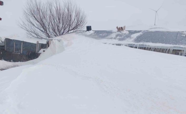 Taşlıçay’da kar yığınları evlerin boyuna ulaştı