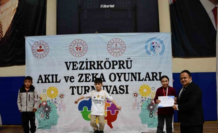 Akıl ve Zekâ Oyunları Turnuvası