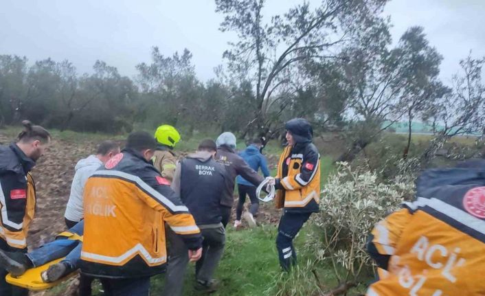 Balıkesir’de kontrolden çıkan otomobil zeytinliğe savruldu: 1 yaralı