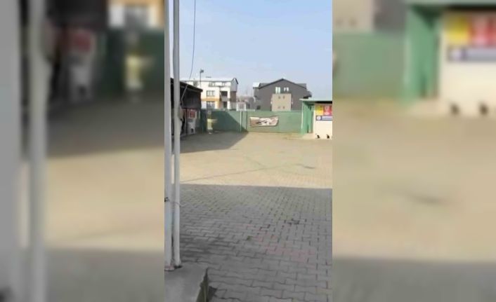 Gemlik Belediyesinin Umurbey’deki barınağını önünde toplanan hayvanseverler içeriye alınmadı