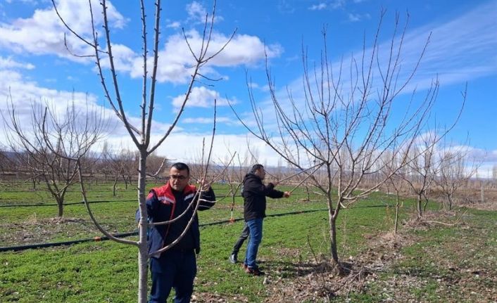 Iğdır’da çiftçilere uygulamalı meyve ağacı budama eğitimi