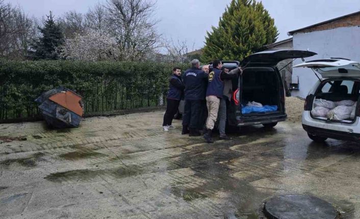 Silivri’de satışa hazır 306 at eti yakalandı