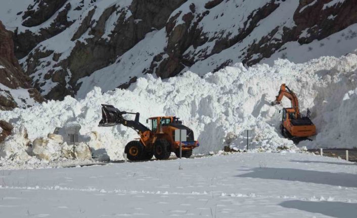 Van-Hakkari kara yolunda çığ sonrası çalışmalar sürüyor