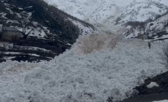 Yüksekova’da çığ paniği: Köy halkı faciadan döndü