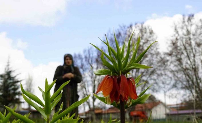 Ağlayan gelinler 5 yıl sonra baharı karşıladı