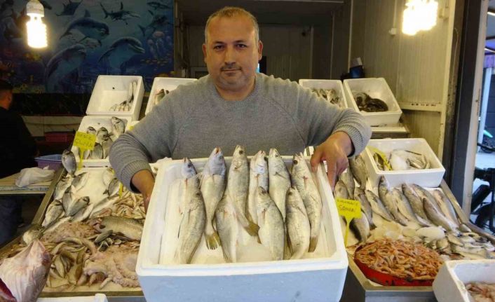 Akdeniz’de av yasağı başlıyor