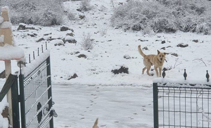 Ankara’ya nisan ayında kar yağdı