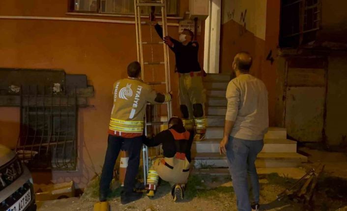 Apartmandan gelen kötü koku acı gerçeği ortaya çıkardı