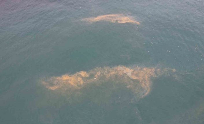 Avcılar kıyılarında tedirgin eden görüntü