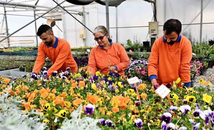 Çiçek Desenleri Günleri için 130 bin dal çiçek yetiştiriliyor