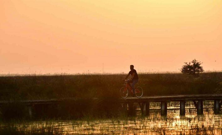 Kızılırmak Deltası Kuş Cenneti’nde bahar coşkusu