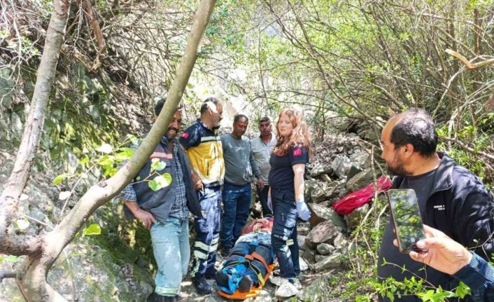 Ormanlık alanda uçurumdan düşen vatandaş yaralandı