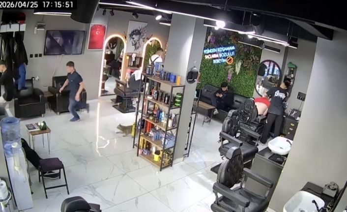 Sultangazi’de kuaförde  ilginç anlar kamerada: Kedi müşterileri kovaladı