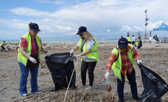 Tarsus’ta kaplumbağalar için seferberlik