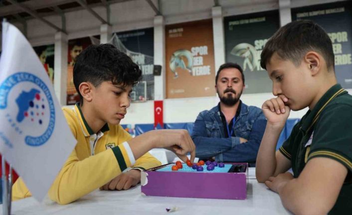 Tunceli’de akıl ve zeka oyunları il turnuvası düzenlendi