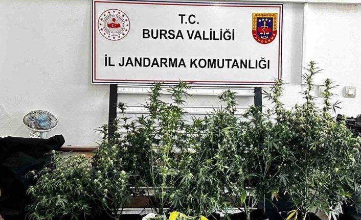 Osmangazi’de uyuşturucu operasyonu: 1 şüpheli tutuklandı